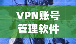 VPN账号管理软件如Snyk、VidPress和OpenVPN在保护数据和安全方面起到了关键作用。以下是对这些软件的详细介绍和使用技巧