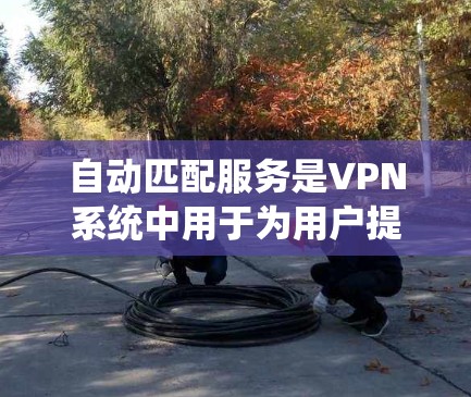 自动匹配服务是VPN系统中用于为用户提供更快、更安全的网络连接功能。以下是关于自动匹配服务的详细信息