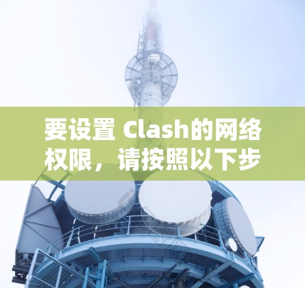 要设置 Clash的网络权限,请按照以下步骤操作