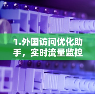 1.外国访问优化助手，实时流量监控与路径优化解决方案