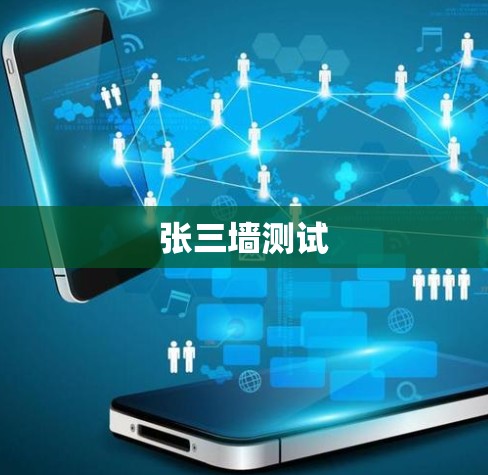 张三墙测试
