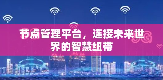 节点管理平台,连接未来世界的智慧纽带
