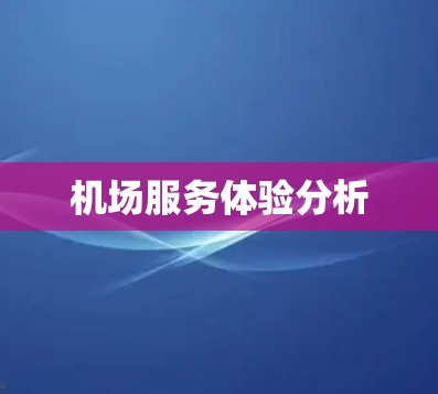 机场服务体验分析