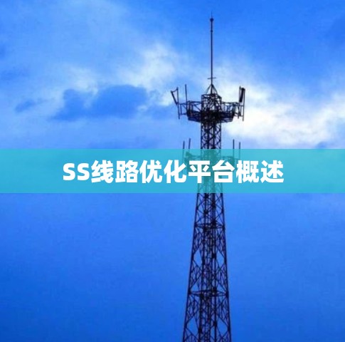 SS线路优化平台概述