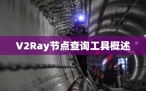 V2Ray节点查询工具概述 V2Ray节点查询工具概述