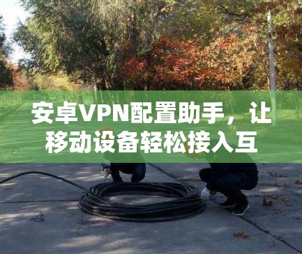 安卓VPN配置助手,让移动设备轻松接入互联网