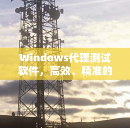 Windows代理测试软件,高效、精准的网络流量检测与分析工具