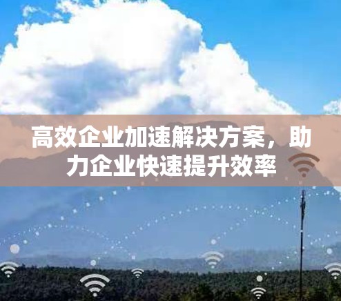 高效企业加速解决方案,助力企业快速提升效率