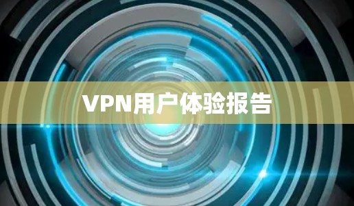 VPN用户体验报告