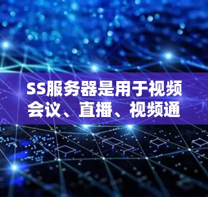 SS服务器是用于视频会议、直播、视频通话等场景的网络设备,主要负责视频和音频端点的连接和处理。以下是对SS服务器的详细分析