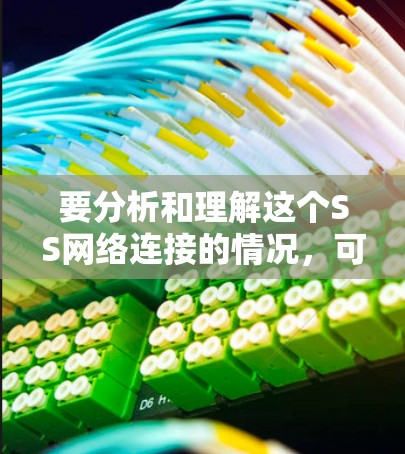 要分析和理解这个SS网络连接的情况,可以按照以下步骤进行
