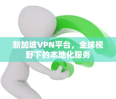 新加坡VPN平台,全球视野下的本地化服务