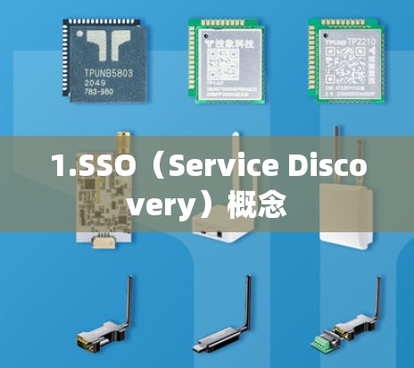 1.SSO(Service Discovery)概念