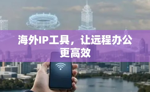 海外IP工具，让远程办公更高效
