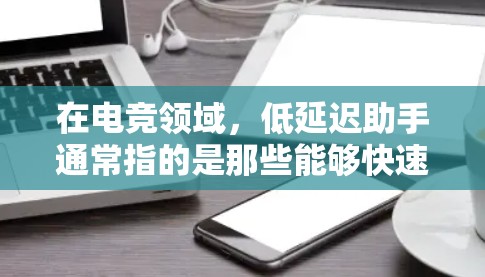 在电竞领域,低延迟助手通常指的是那些能够快速响应并提供实时服务的工具,特别是在游戏、比赛或其他需要快速响应的场景中。以下是对电竞中低延迟助手的详细分类和分析