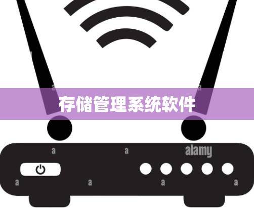 存储管理系统软件