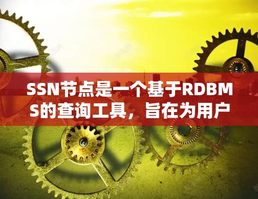 SSN节点是一个基于RDBMS的查询工具,旨在为用户提供高效的数据查询和管理能力。以下是对SSN节点的详细总结