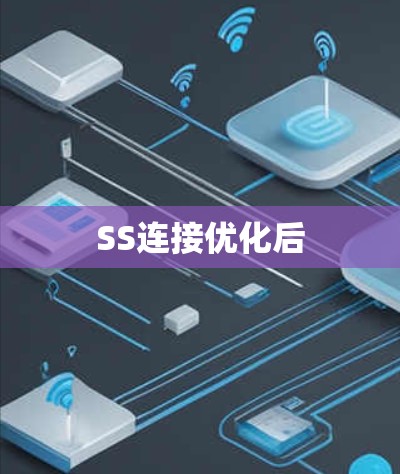 SS连接优化后
