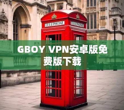 GBOY VPN安卓版免费版下载