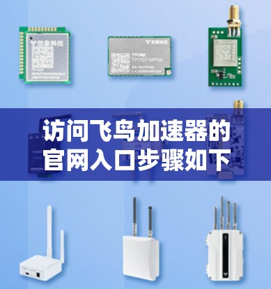 访问飞鸟加速器的官网入口步骤如下