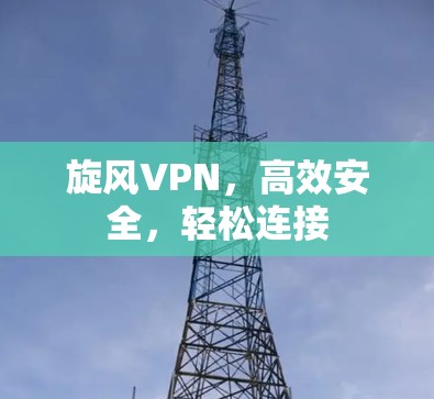 旋风VPN,高效安全,轻松连接
