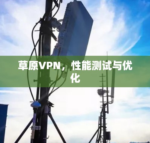 草原VPN,性能测试与优化