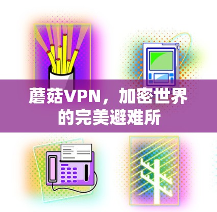 蘑菇VPN,加密世界的完美避难所