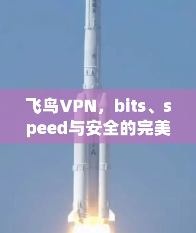 飞鸟VPN，bits、speed与安全的完美结合