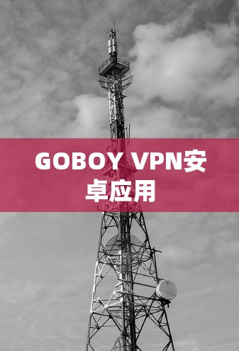 GOBOY VPN安卓应用