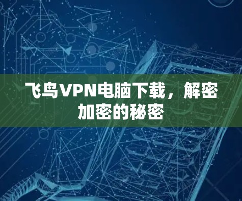 飞鸟VPN电脑下载，解密加密的秘密