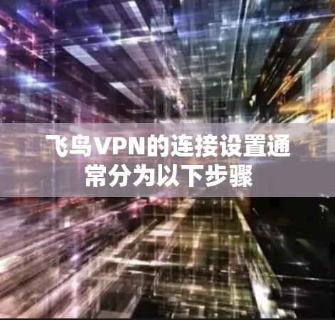 飞鸟VPN的连接设置通常分为以下步骤