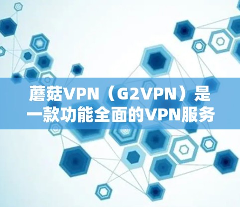 蘑菇VPN（G2VPN）是一款功能全面的VPN服务，专为用户提供了多种加密技术、多点网络和安全措施，满足普通用户、企业用户以及加密爱好者的需求。以下是蘑菇VPN的主要功能介绍