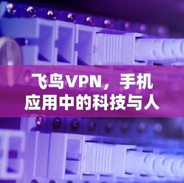 飞鸟VPN,手机应用中的科技与人机共生的探索