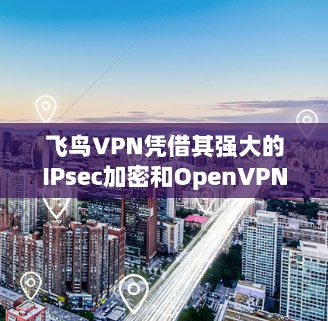 飞鸟VPN凭借其强大的IPsec加密和OpenVPN协议，展现出不错的性能和安全性。以下是对其性能的综合分析