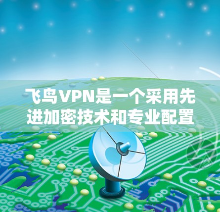 飞鸟VPN是一个采用先进加密技术和专业配置的VPN服务,旨在提供安全、可靠和个性化的网络访问体验。以下是一步步的使用指南