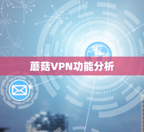 蘑菇VPN功能分析