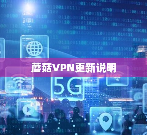 蘑菇VPN更新说明