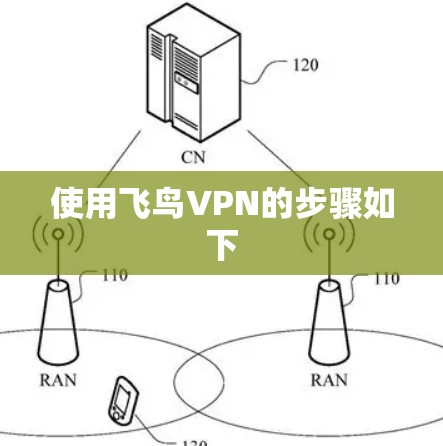 使用飞鸟VPN的步骤如下