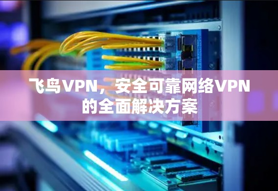 飞鸟VPN，安全可靠网络VPN的全面解决方案