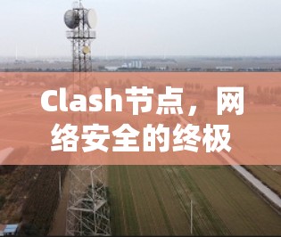 Clash节点,网络安全的终极守护者