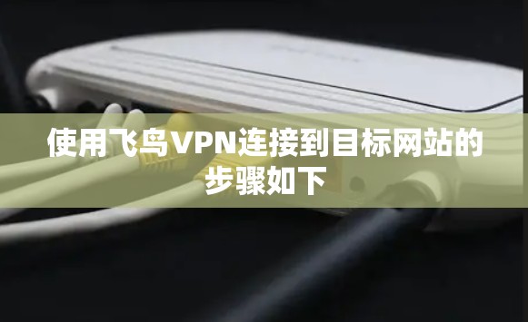 使用飞鸟VPN连接到目标网站的步骤如下
