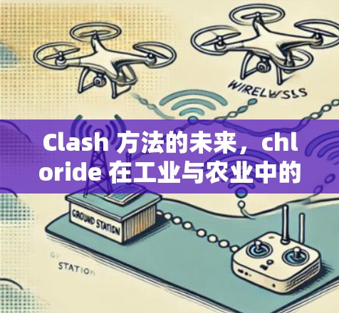 Clash 方法的未来,chloride 在工业与农业中的应用