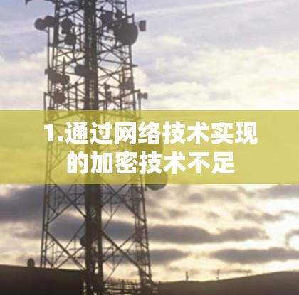 1.通过网络技术实现的加密技术不足