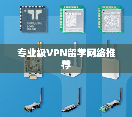 专业级VPN留学网络推荐