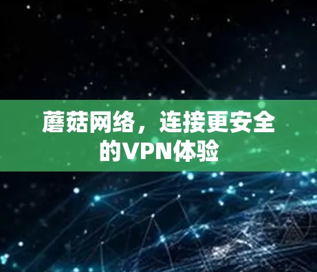 蘑菇网络,连接更安全的VPN体验