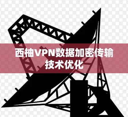 西柚VPN数据加密传输技术优化 西柚VPN数据加密传输技术优化