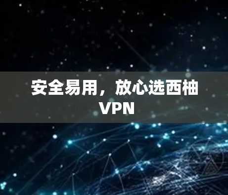 安全易用,放心选西柚 VPN
