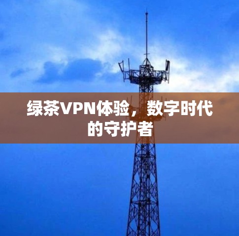 绿茶VPN体验,数字时代的守护者
