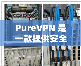 PureVPN 是一款提供安全和可靠VPN服务的平台,用户可以在其官网下载并使用其功能。以下是 PureVPN 官网的下载器推荐