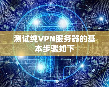 测试纯VPN服务器的基本步骤如下